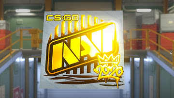 CS2 Updated NAVI Gold RMR Sticker