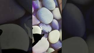SENSe Interactive Floor