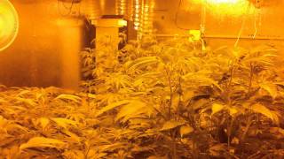 Mother Room Update and Future Endeavors