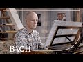 Capture de la vidéo Bach - Concerto In D Minor Marcello Bwv 974 - Ayrton | Netherlands Bach Society