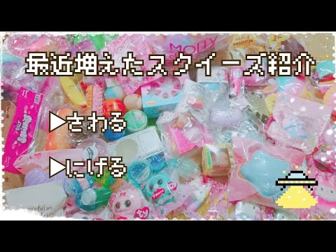 【Squishy】最近増えたスクイーズ紹介【ｵﾙｺﾞｰﾙ】