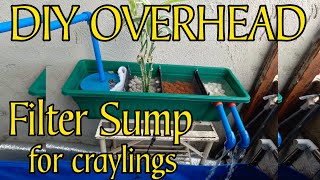 DIY overhead filter sump for craylings | DIY filter for trapal pond | DIY filter