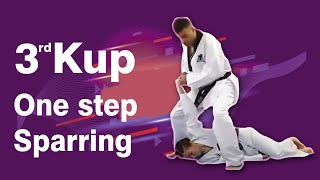 3rd Kup Red Tag One Step Sparring