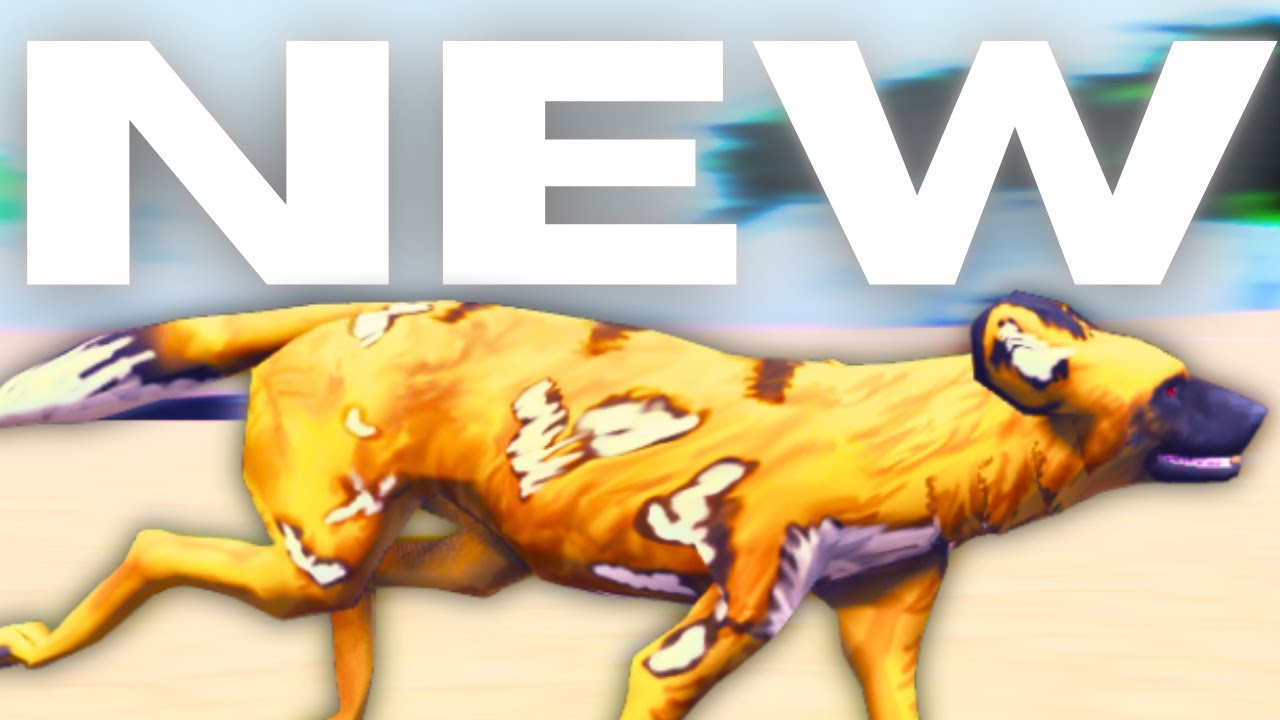 NEW Painted Dogs!! | Eternal Enemies