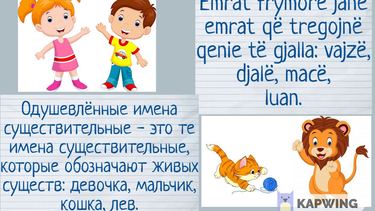 Албанский автомобиль фильм Албанский автомобиль фильм