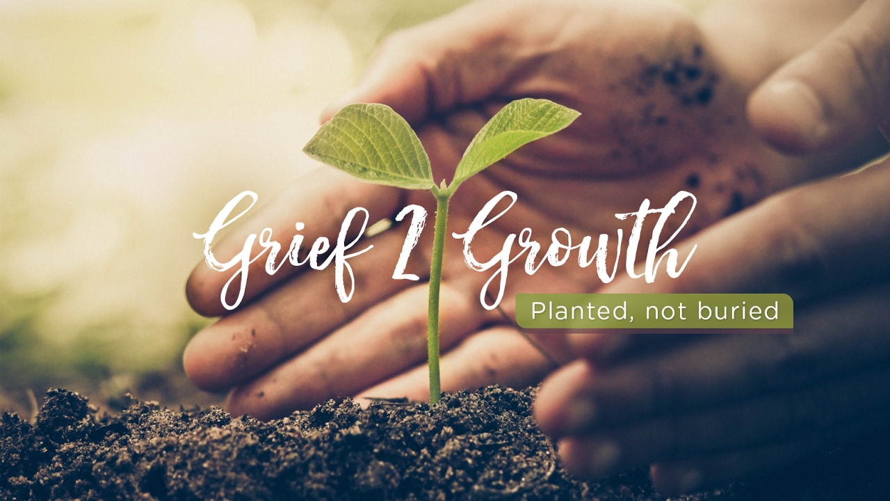 Grief 2 Growth Live Stream