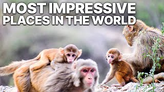 Most Impressive Places In The World | Wonders of evolution by Beautiful World 484 views 1 month ago 55 minutes