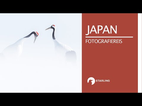 Video: Japanse Walvisjagters Skors Jag, Kan Missie Vroeg Beëindig