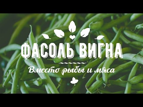 Βίντεο: Vigna - φασόλια σπαραγγιού