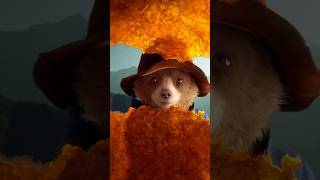 Paddington our favorite bear is back movie teaser shorts