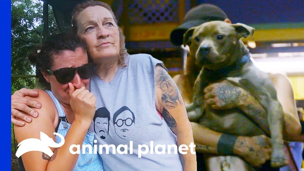 Hurricane Forces Villalobos to Evacuate | Pit Bulls & Parolees