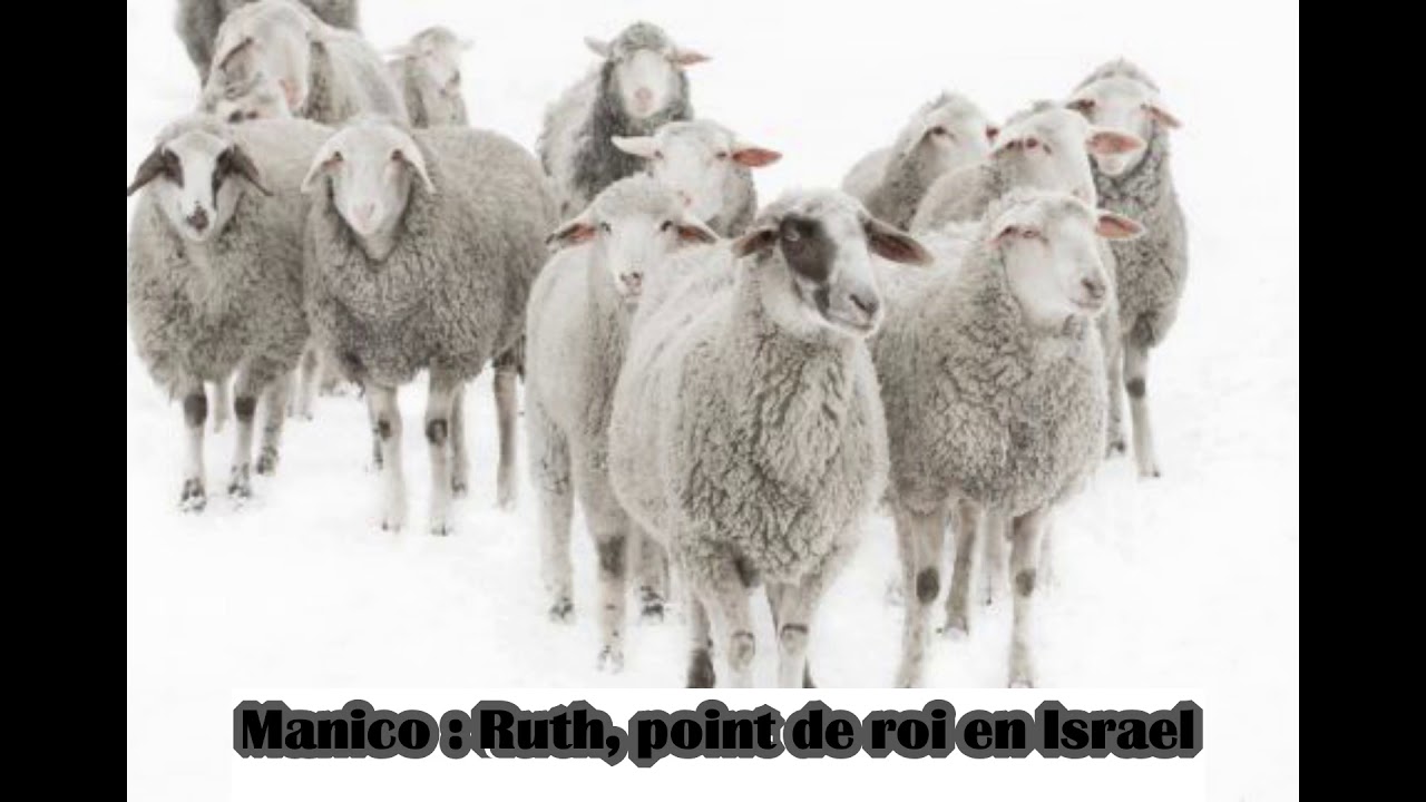 Pasteur Manico : Ruth, point de roi en Israel