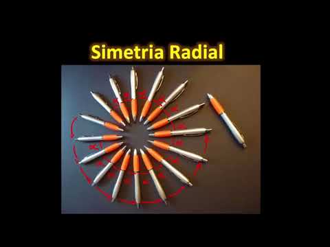Vídeo: A simetria radial é assimétrica?