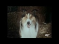Lassie - Episode #432 - "Once Upon a Horse" - Season 13, Ep. 15 - 01/01/1967