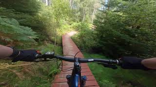 Mtb Trail riding 