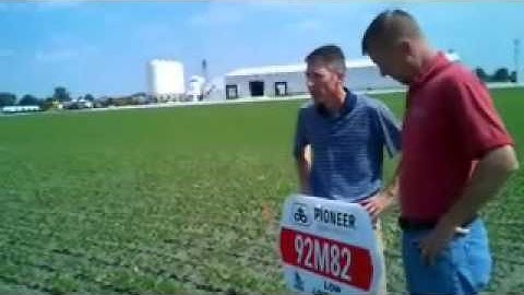 Test Plot: what is it?