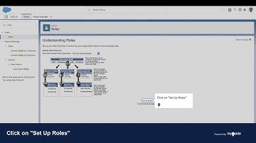 How to manage access permission in Salesforce using Roles