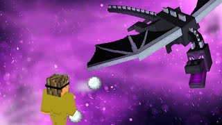 Snowball Fight vs. Ender Dragon