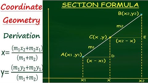 Coordinate Geometry Class 10 | Derivation of Section Formula and Mid Point Formula | Chapter 7