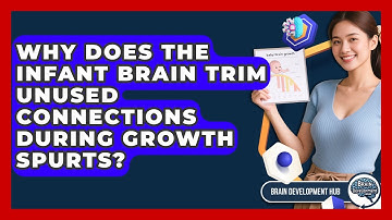 Why Does The Infant Brain Trim Unused Connections During Growth Spurts? - Brain Development Hub