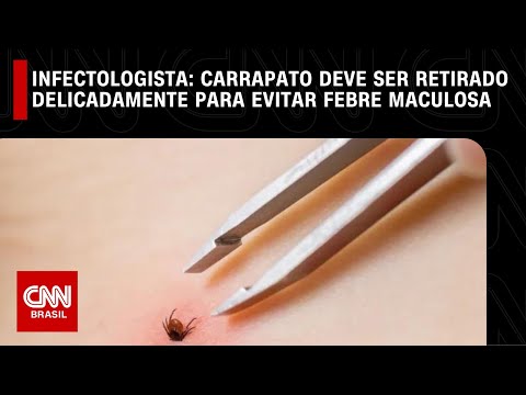 Vídeo: 3 maneiras de matar árvores