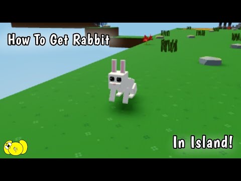 How To Get Rabbit In Island Roblox Island Youtube - how to ride a roller coaster in roblox bunnies island