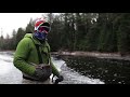 Fall Michigan Au Sable River Streamer Fly Fishing Trip | Vacancy Fall Michigan Au Sable River Streamer Fly Fishing Trip | Vacancy