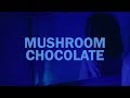 Quin x 6lack  mushroom chocolate  lyrics