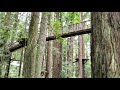 Redwood Canopy Walk