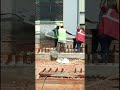 Pole standing withexpertise #construction #heavymetal #youtubeshorts #viralvideo #susbcribe #village
