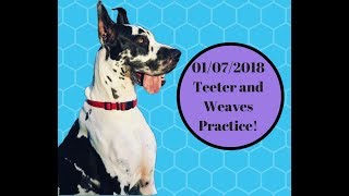 Beginner Teeter and Weaves Practice with my Great Dane at Agility! by Katelyn Key 369 views 6 years ago 3 minutes, 27 seconds