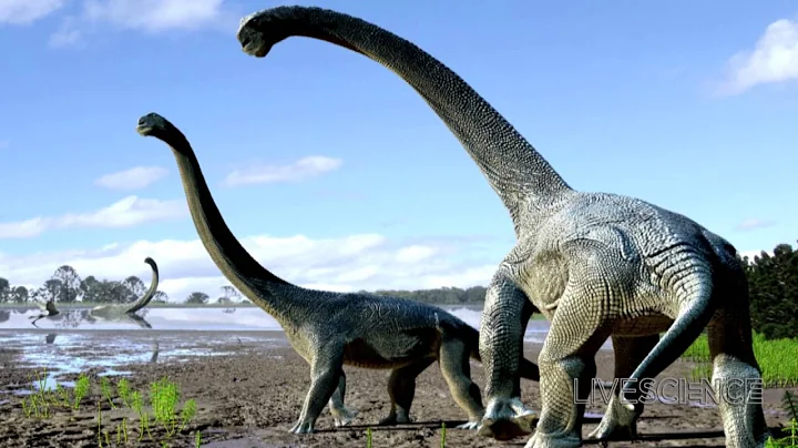 Gigantic New Dinosaur Species Uncovered in Australia - DayDayNews