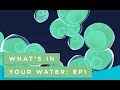 What’s In Your Water?: Episode 1
