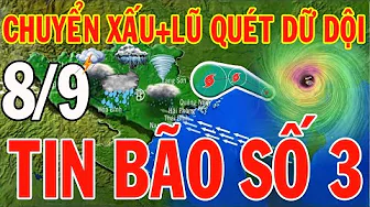 Dự báo thời tiết hôm nay và ngày mai 8/9/2024 | Dự báo thời tiết trong 3 ngày tới thumbnail