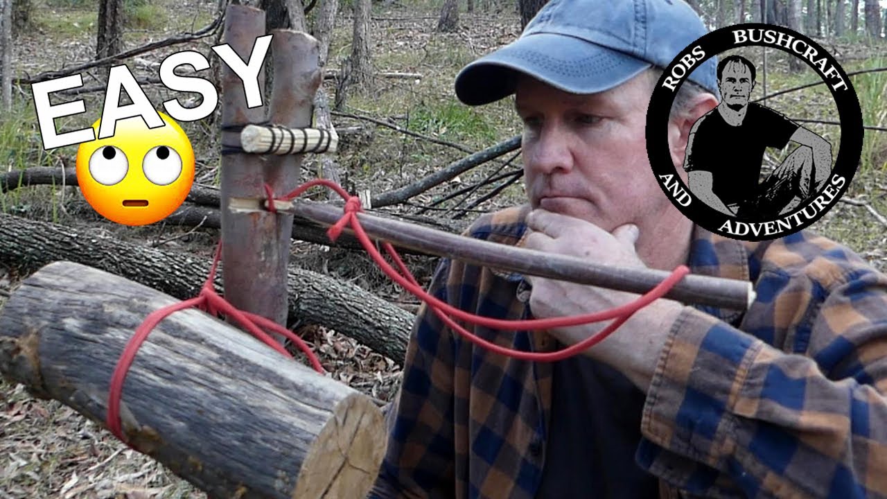 Improved Bird Perch Snare Trap MAYBE? YouTube