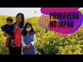 PRIMAVERA NO JAPÃO - EM TEMPOS DE PANDEMIA