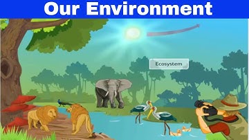 CBSE Class 10 Science - 15 || Our Environment || Full Chapter || by Shiksha House