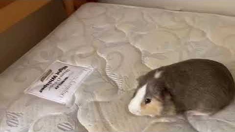 Fudges most random video part 4