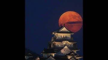 (Free) Pierre Bourne X Playboi Carti Type Beat- Old News