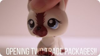 LPS: Reciving Trade Packages From: SugarySweetLPS & Pastel LPS @LilyLPS