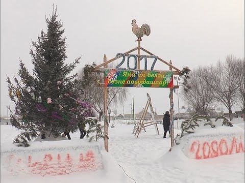 Нурлатские елки борются за звание лучших в Республике Татарстан