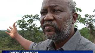 Liberia's rubber industry bounces back