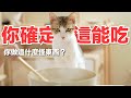 【好味小姐】你確定這能吃！你做這什麼怪東西？｜好味貓日常197