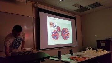 HENRY SEGERMAN  (Oklahoma State/Mathmematics)