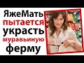 ЯжеМать пытается украсть муравьиную ферму!🙄