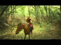 Fferyllt - Call Of The Wild (official videoclip)