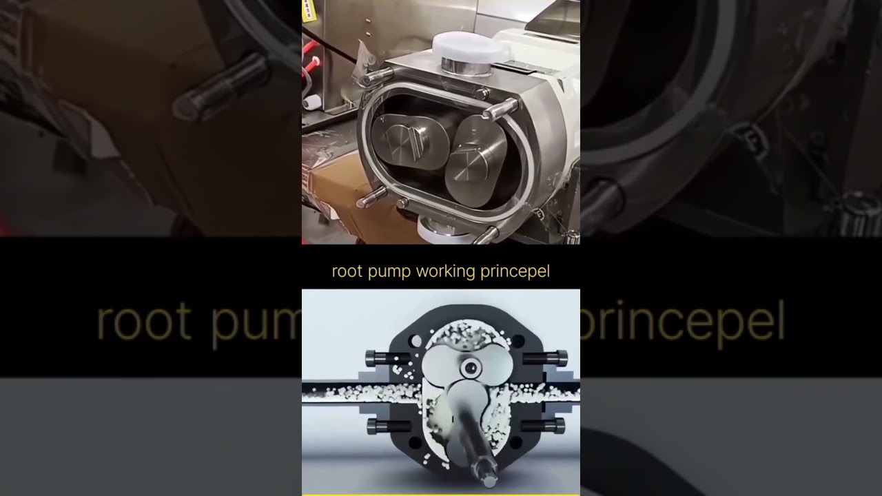 Roots Pump Working Principle | How a Roots Blower Works in Industry (3D Animation