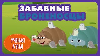 УЧЕНАЯ ЛУНА! (50 серия) (2015) мультсериал