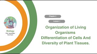 Unit 2 - Chapter 3 - Lesson 1 - Organization of living organisms screenshot 5