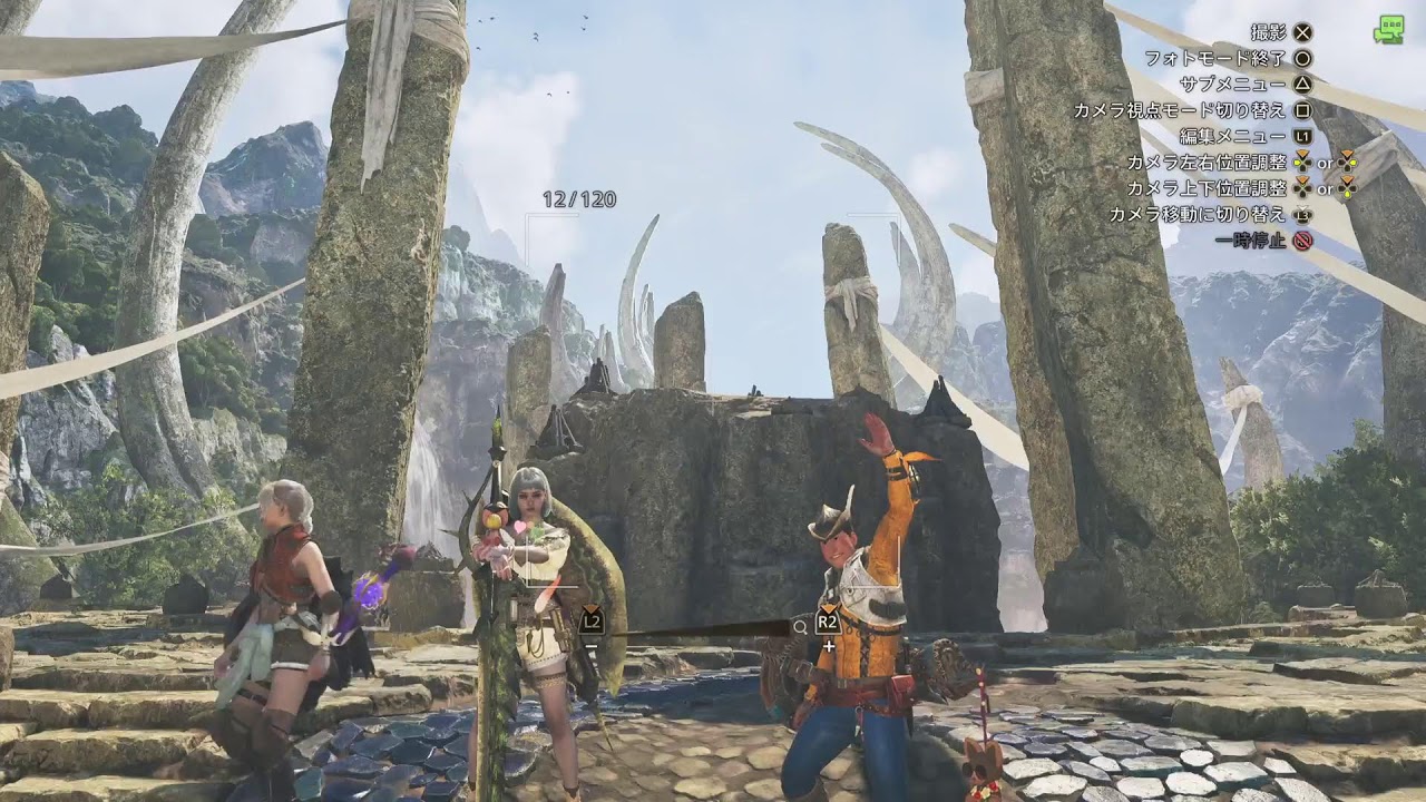 ワイルズ　参加型